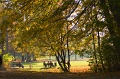 0720Englischer Garten 